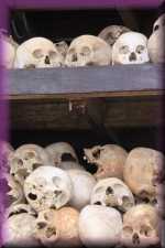 Killing fields